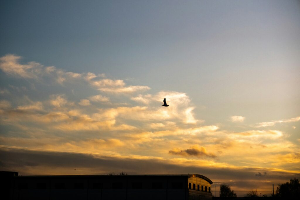 sky